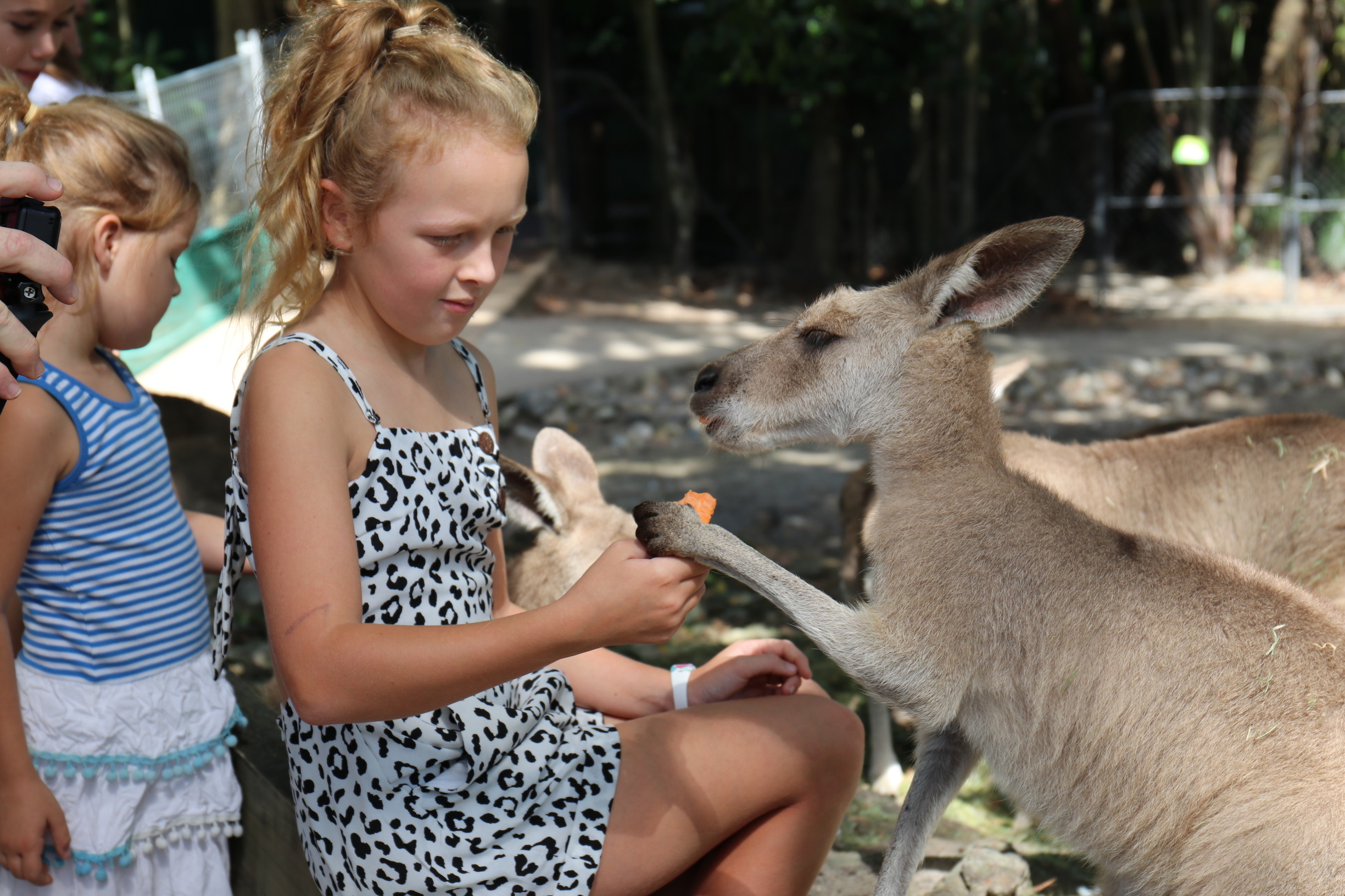 Wildlife Habitat Port Douglas | alternative places to discover in Queensland